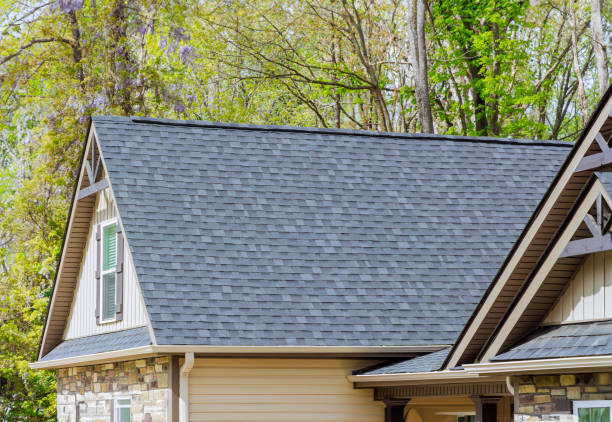 Best Roof Moss and Algae Removal  in Sansom Park, TX